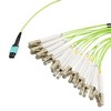 MPO带引脚插口到FLC扇出插口，24根光纤，OM5 50 / 125um多模，OFNR 光缆护套，柠檬绿，5米的图片