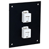 Universal Sub-Panel, 2 110 Category 5e Tool-less PoE+ Compliant Jacks的图片